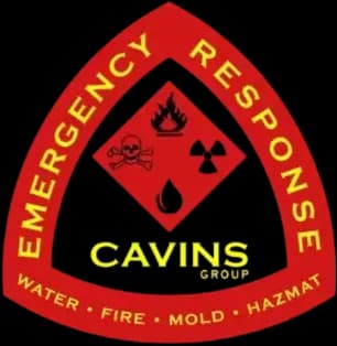 Cavins Group logo